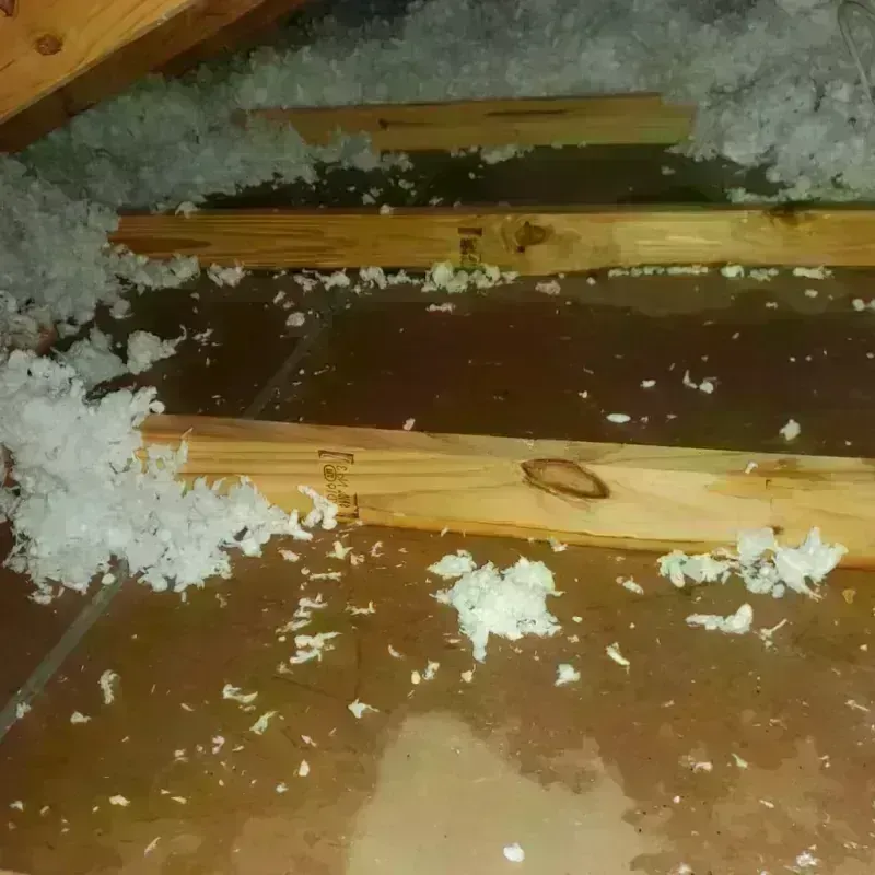 Attic Water Damage in Marin City, CA