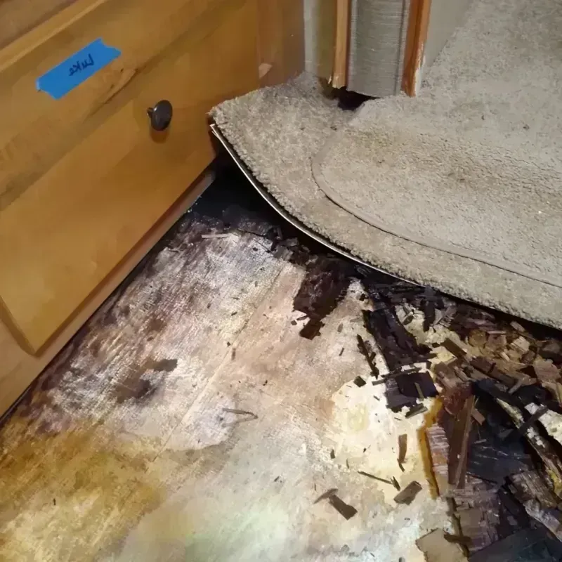 Wood Floor Water Damage in Marin City, CA